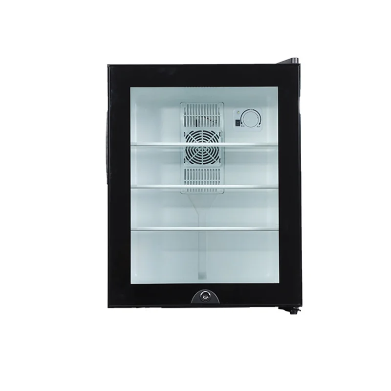 Wine Beer Mini Fridge - Mini Fridge Cooler 40L Refrigerator Glass