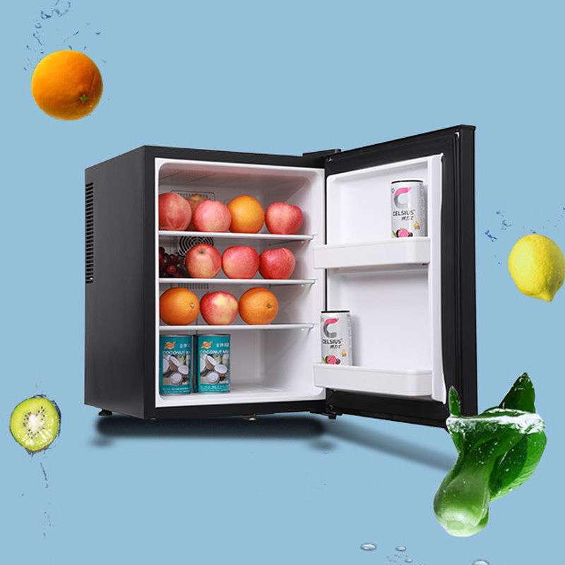 Mini Fridge Cooler 40L Refrige - Wine Beer Mini Fridge review and price