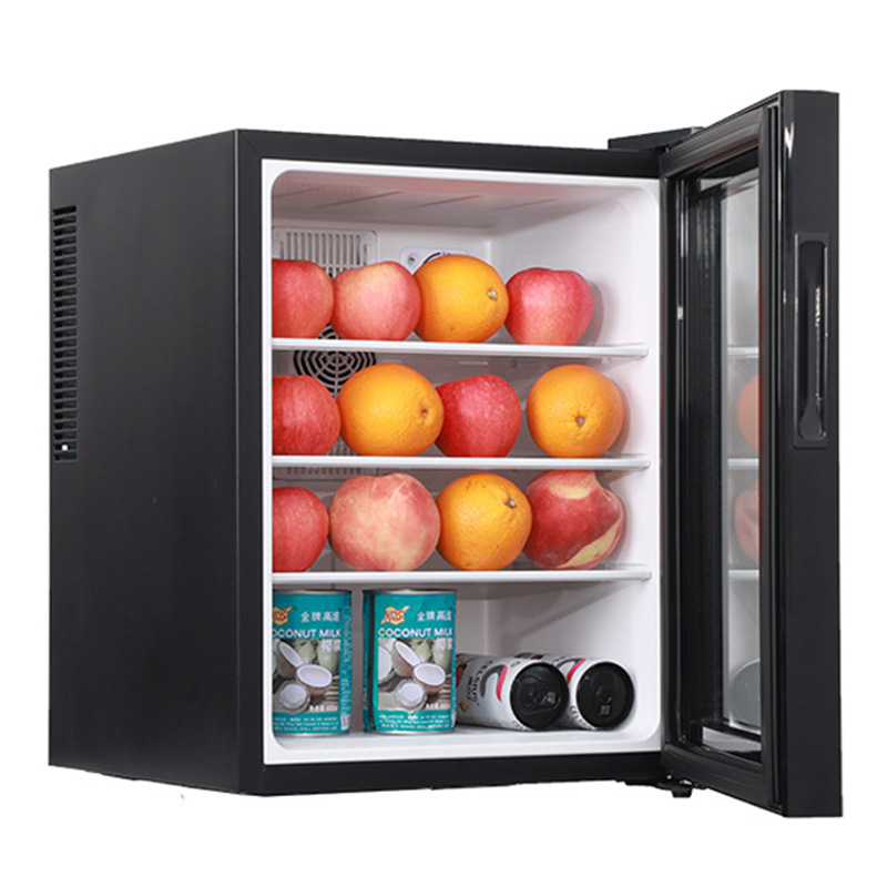Mini Fridge Cooler 40L Refrige - Wine Beer Mini Fridge review and price
