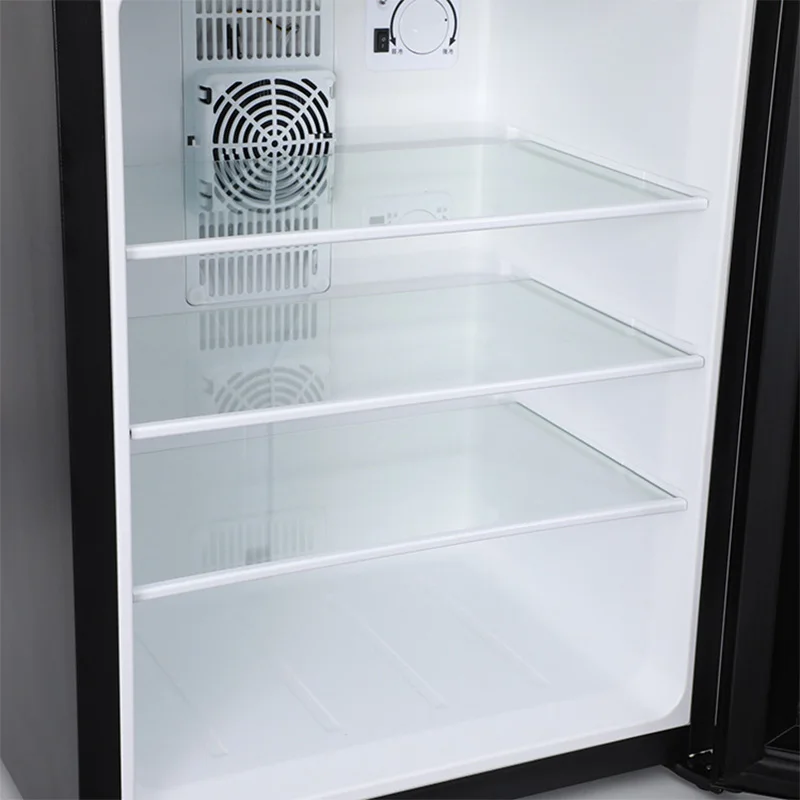 Mini Fridge Cooler 40L Refrige - Wine Beer Mini Fridge review and price